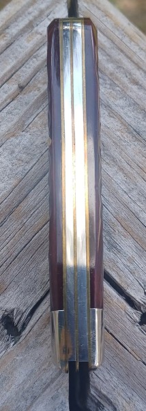 bottom view 1.jpg