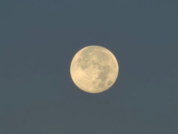 20231029_072414.jpg
