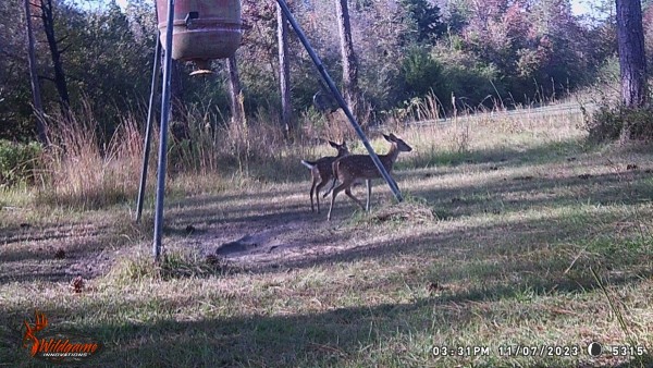 Still seeing babies with spots.