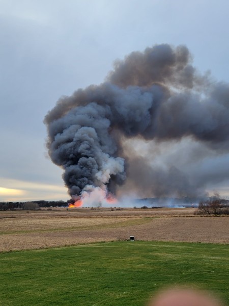Burning the marsh.jpg