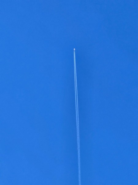 20231204_121741.jpg