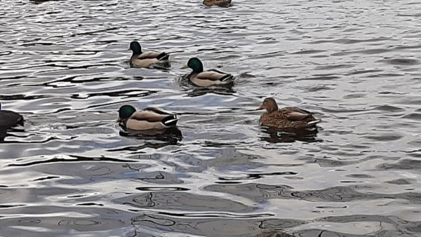 20240111_132728.jpg