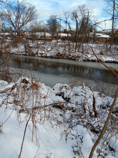 2024-01-20_10-49-26_-_hiking.jpg