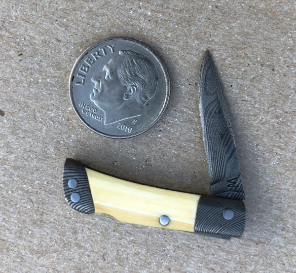 mini ft.JPG