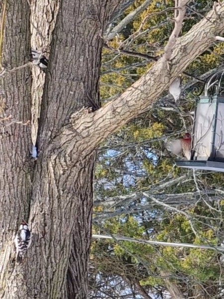 VideoCapture_20240218-112404.jpg