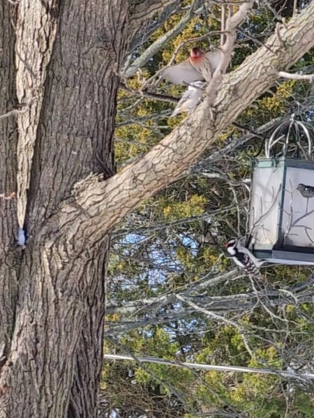 VideoCapture_20240218-111837.jpg