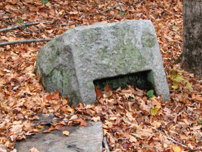 102.JPG