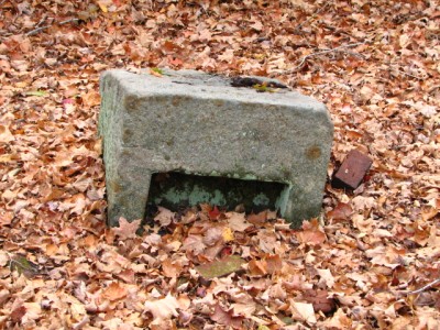 103.JPG