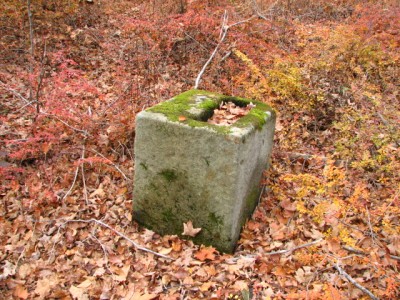 105.JPG