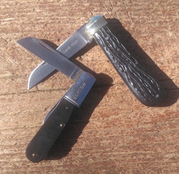 KIMG2557~2.JPG
