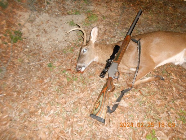 This afternoon's 5 point and Knight 50 cal. M/L