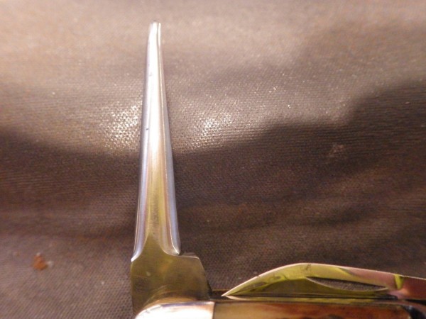 RIMG2994.JPG