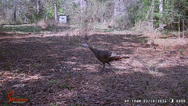 Surprised to see a this ol' gal in this spot!