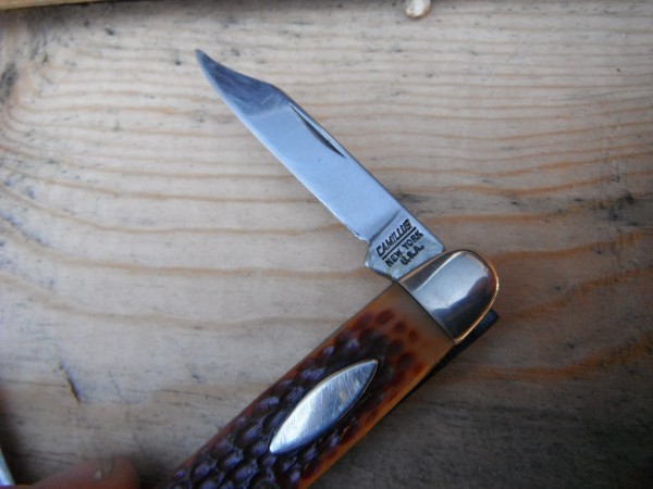 DSCF6452.JPG