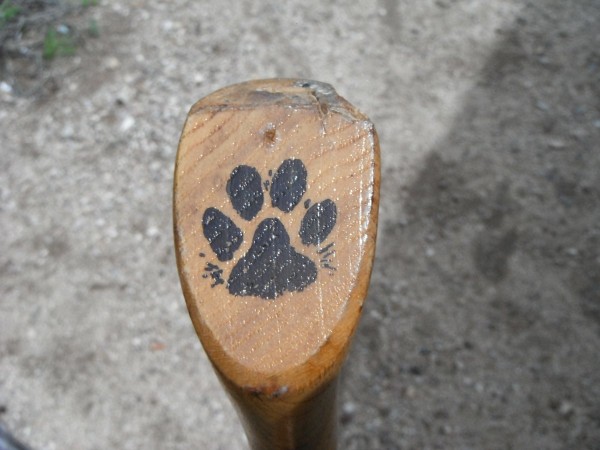 DSCF6541.JPG