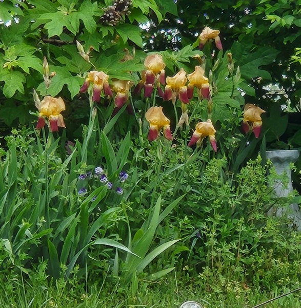 1000005023.jpg