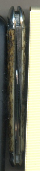 Wester Bros tapered backspring 697.jpg