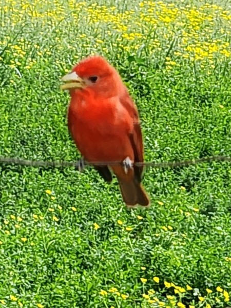 20240503_150800.jpg