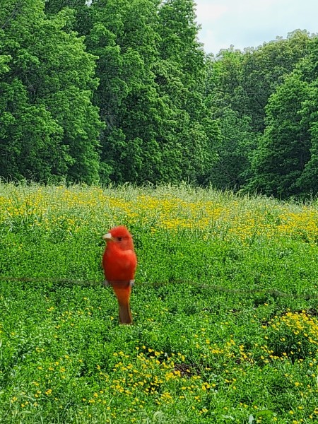 20240503_150803.jpg