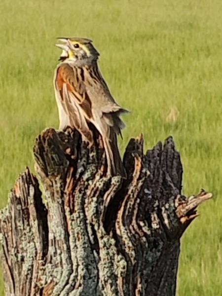 VideoCapture_20240507-184753.jpg