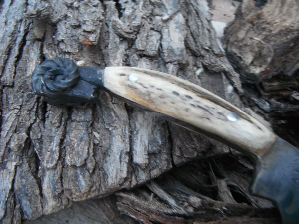 DSCF7443.JPG