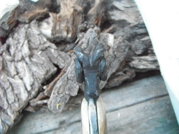 DSCF7440.JPG