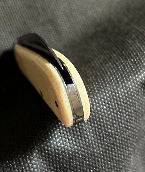 IMG_E2481.JPG