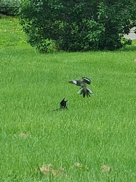 VideoCapture_20240517-094021.jpg
