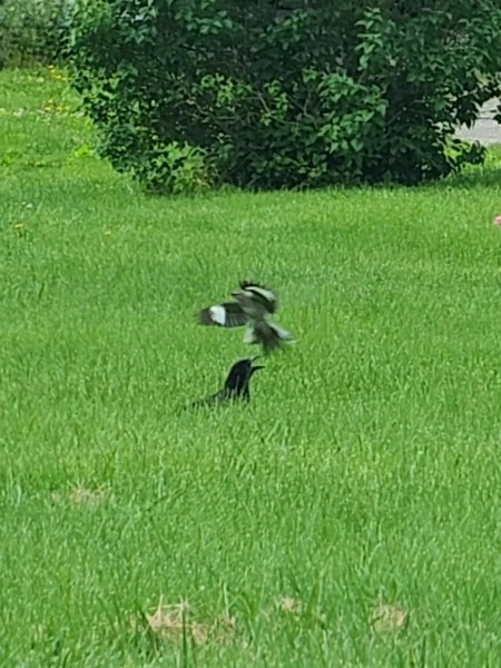 VideoCapture_20240517-092205.jpg
