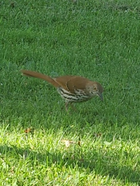 VideoCapture_20240607-081202.jpg