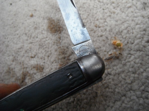 DSCF8140.JPG