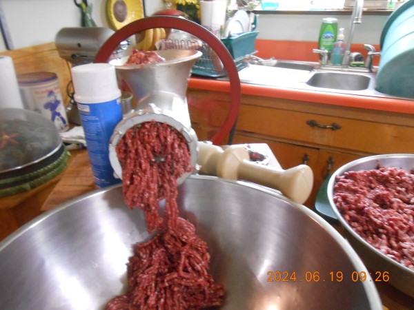 1st grind of 60/40 venison-pork mix.