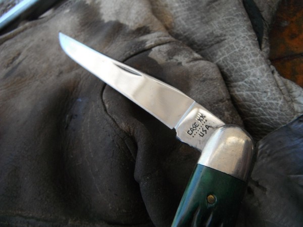 DSCF8601.JPG