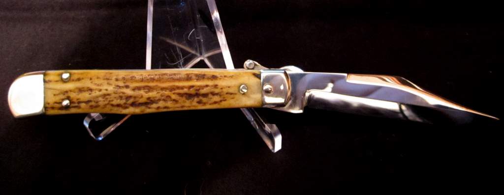 5161L_Stag_5.JPG
