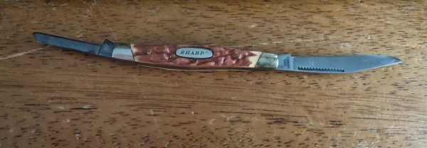 Sharp 260