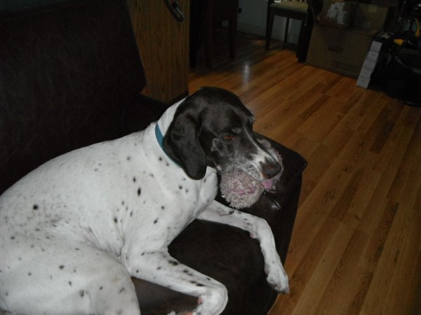 DSCF8820.JPG