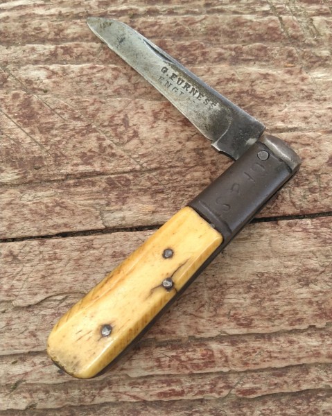 KIMG9950~2.JPG