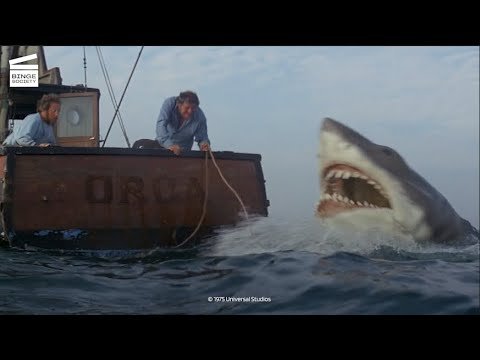 jaws-pond-attack.jpgaa.jpg