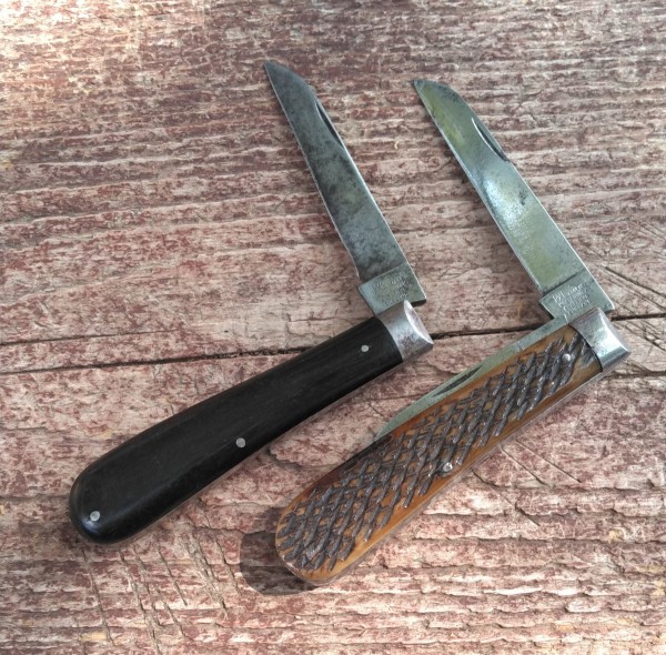 KIMG2874~2.JPG