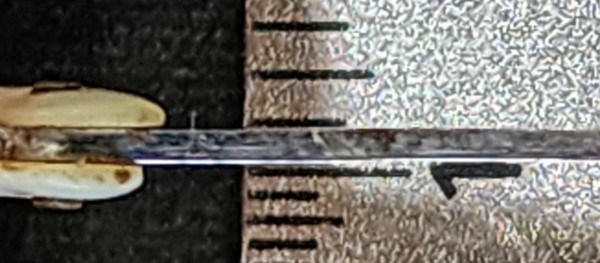 20240811_172453.jpg