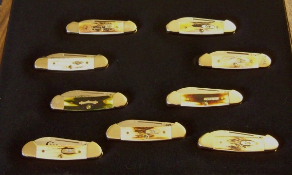 Stag Butterbean Display.JPG