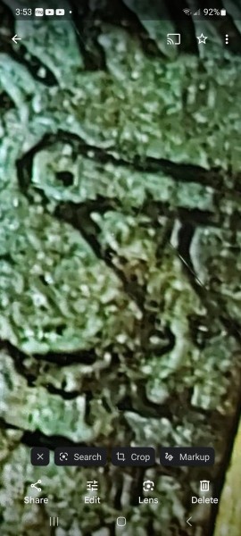 Screenshot_20240820_155346_Photos.jpg