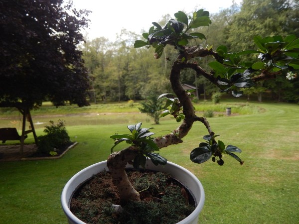 DSCN1230.JPG