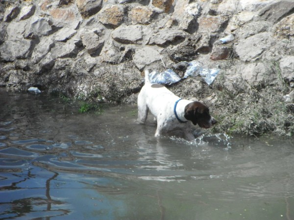 DSCF3887.JPG