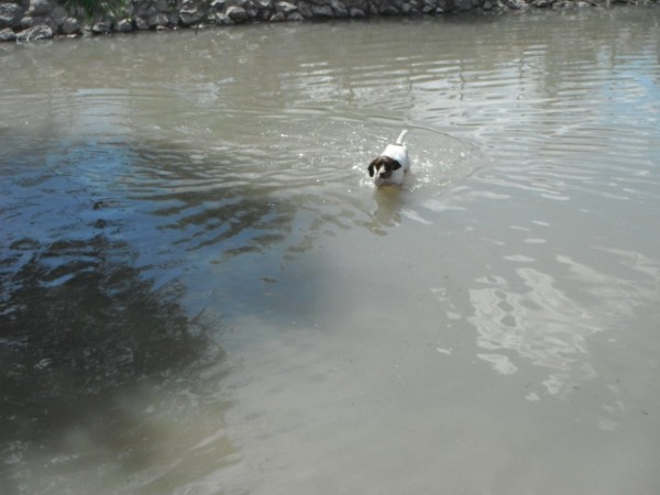 DSCF3885.JPG