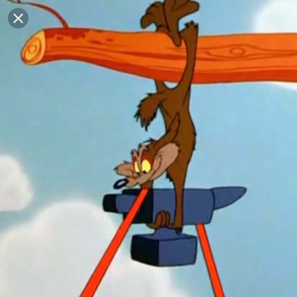 coyote_.jpg