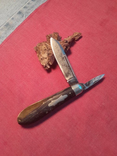 20240918_094242.jpg