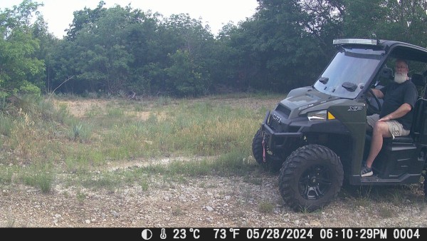 Sasquatch