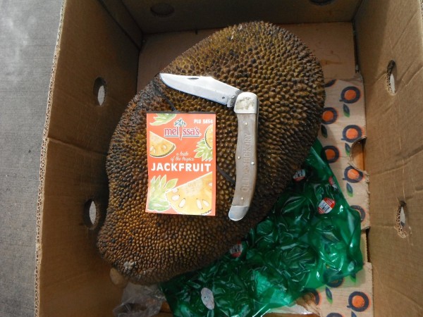 DSCF1415.JPG