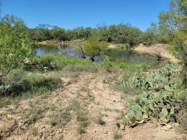 Pond